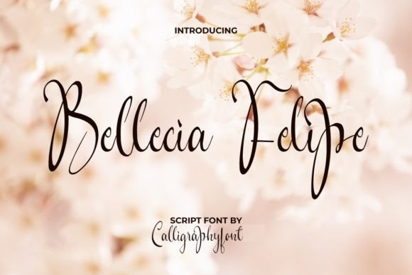 Bellecia Felipe: A Classy Script Font for Web Headers